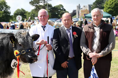 Jim Ervine with Knockagh Busker the winner at the final of the Osmonds/ NI Blue Club Bull Derby. Pictured along with Jim is Alistair Watret, Annan, Judge and his father John.